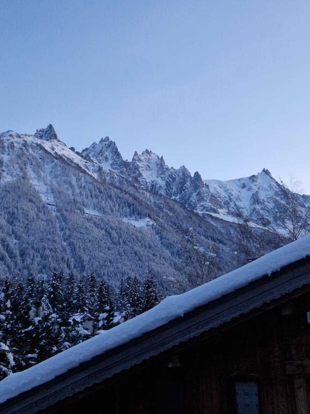Appartement Ensoleille Aux Tines, Vue Massif シャモニー エクステリア 写真